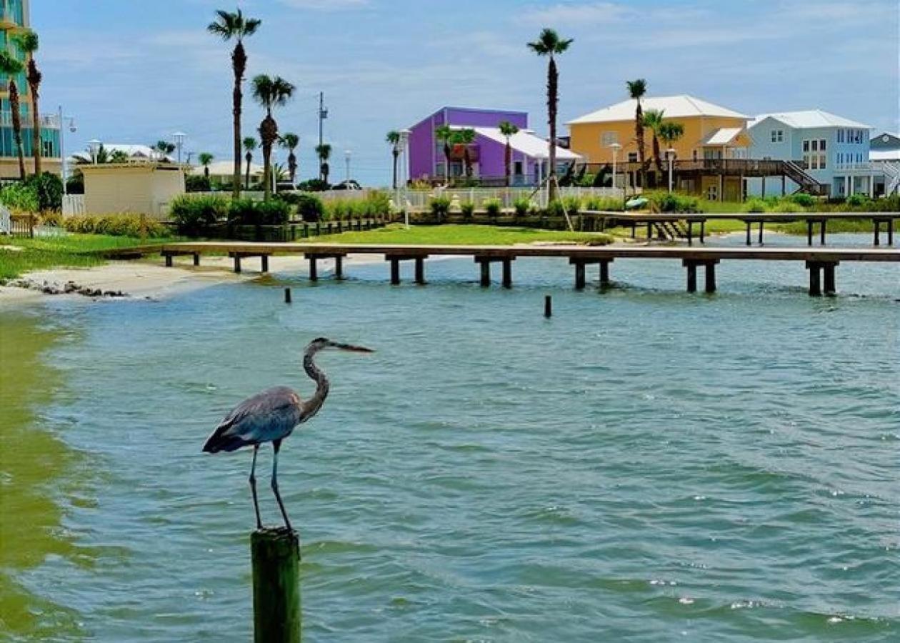 Summer House West B103 Gulf Shores Exteriér fotografie